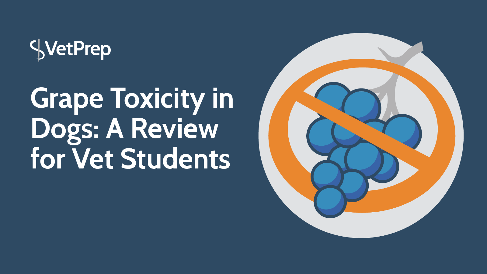 Grape Toxicity In Dogs A Review For Vet Students   2f617b83f973a0272c85e473bc1f457f6d33a83da582db2c6ba9b4ebf62206cc 3 #keepProtocol